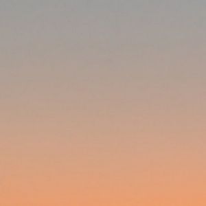 Meet your Posher, Benny